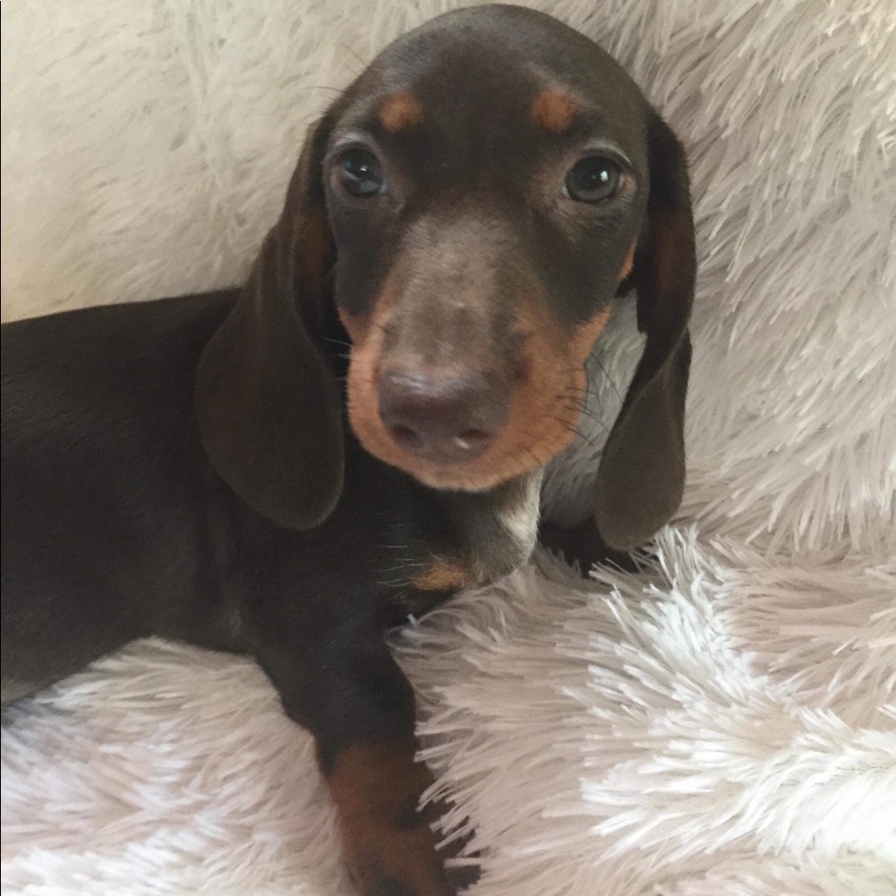 Meet your Posher, Rita